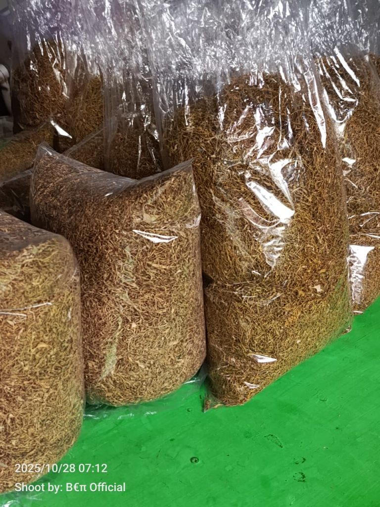 Tembakau herbal talas beneng , ( Taro dry leaf herbal tobacco) original. Non nikotin.-1