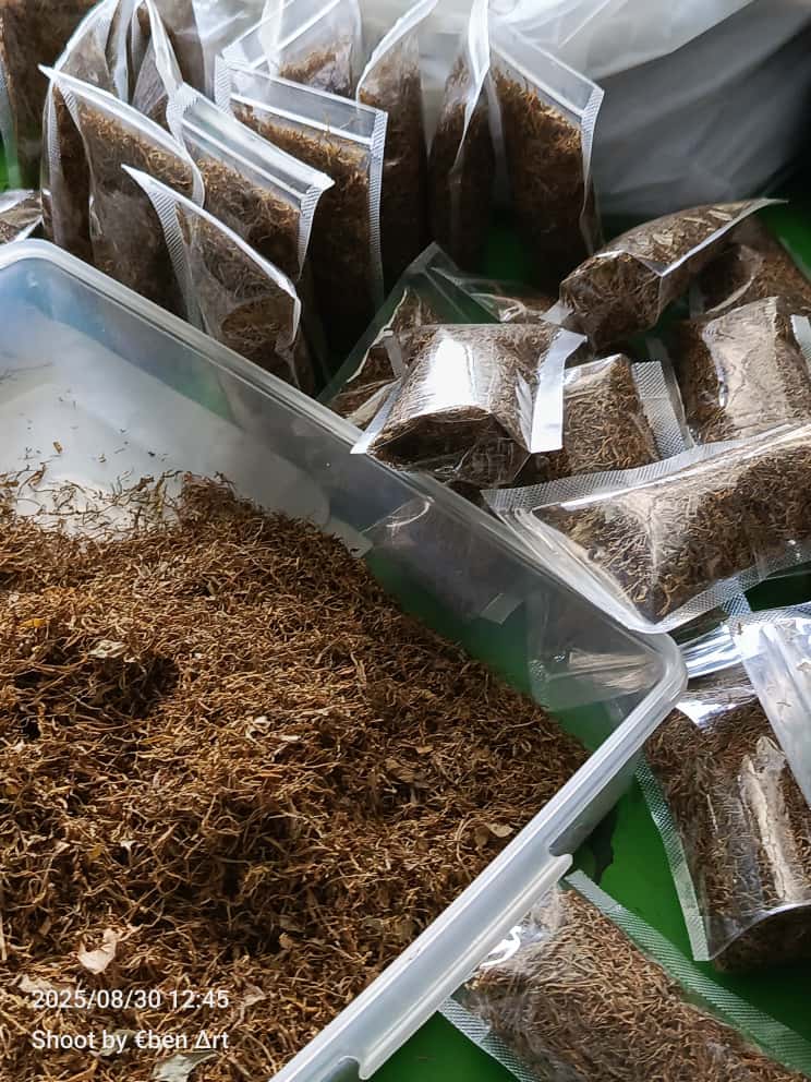 Tembakau herbal talas beneng , ( Taro dry leaf herbal tobacco) original. Non nikotin.-4