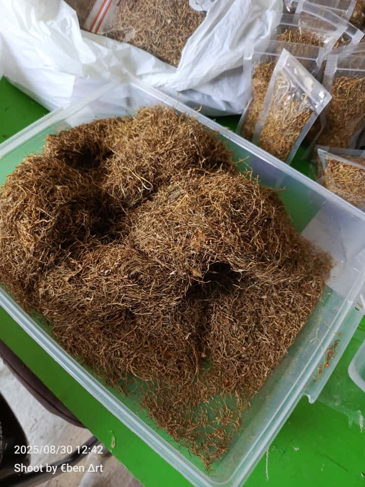 Tembakau herbal talas beneng , ( Taro dry leaf herbal tobacco) original. Non nikotin.-5