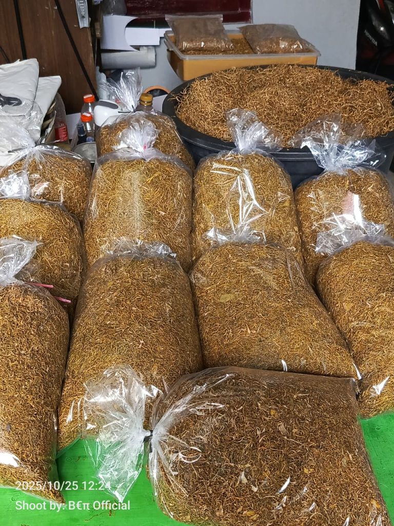 Tembakau herbal talas beneng , ( Taro dry leaf herbal tobacco) original. Non nikotin.-6