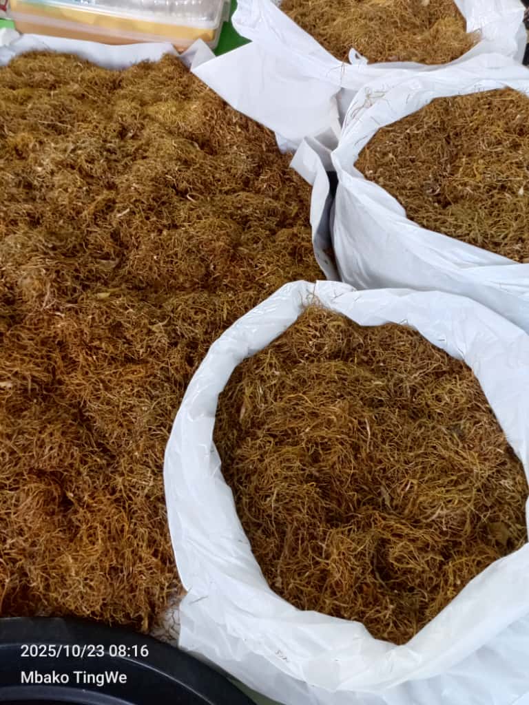 Tembakau herbal talas beneng , ( Taro dry leaf herbal tobacco) original. Non nikotin.-7